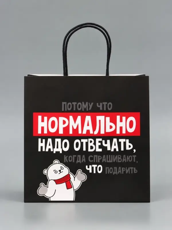 Пакет подарочный новогодний &laquo;Нормально надо отвечать&raquo;, 22&times;22&times;11 см
