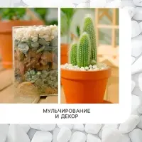 Мраморная крошка &laquo;Рецепты Дедушки Никиты&raquo;, отборная, белая, фр 5-10 мм, 1 кг