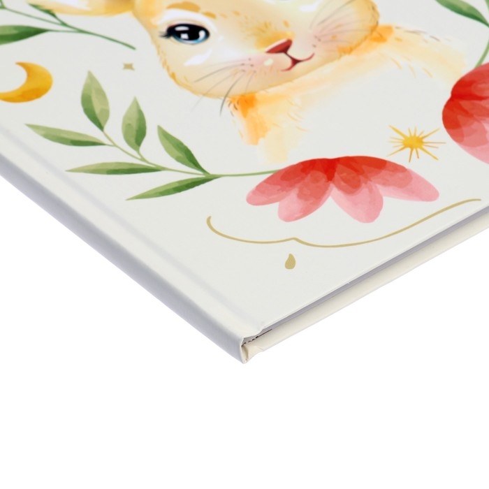 Дневник для 1-4 классов, Дневник для 1-4 классов, "Зайка", твердая обложка 7БЦ, матовая ламинация, 48 листов