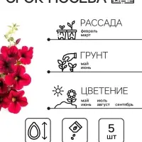 Семена цветов Петуния &laquo;Тайдал Вейв Ред Велюр&raquo;, 5 шт., &laquo;Агросидстрейд&raquo;
