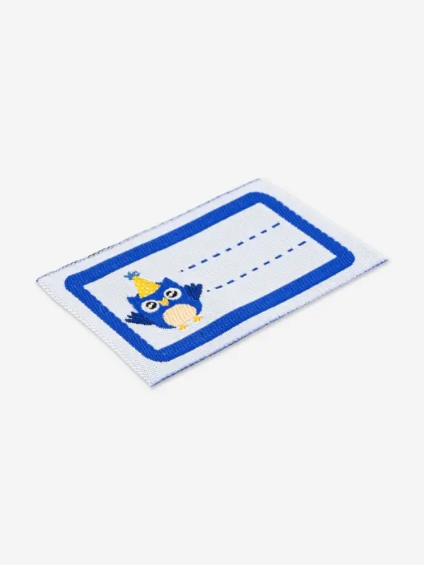 Нашивка именная &laquo;Совёнок&raquo;, 5.5&times;3.2 см, 10 шт., синяя