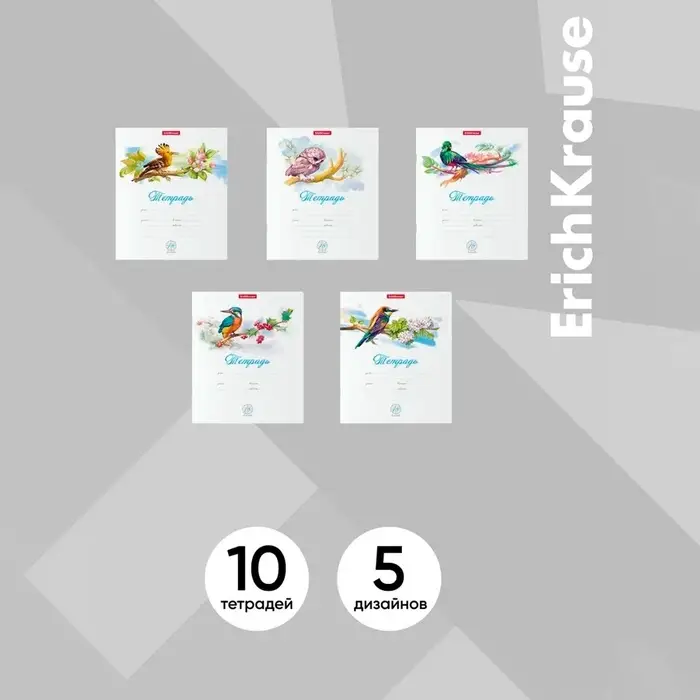 Тетрадь 18 листов в клетку, ErichKrause Birds, обложка мелованный картон, блок офсет 100% белизна, МИКС
