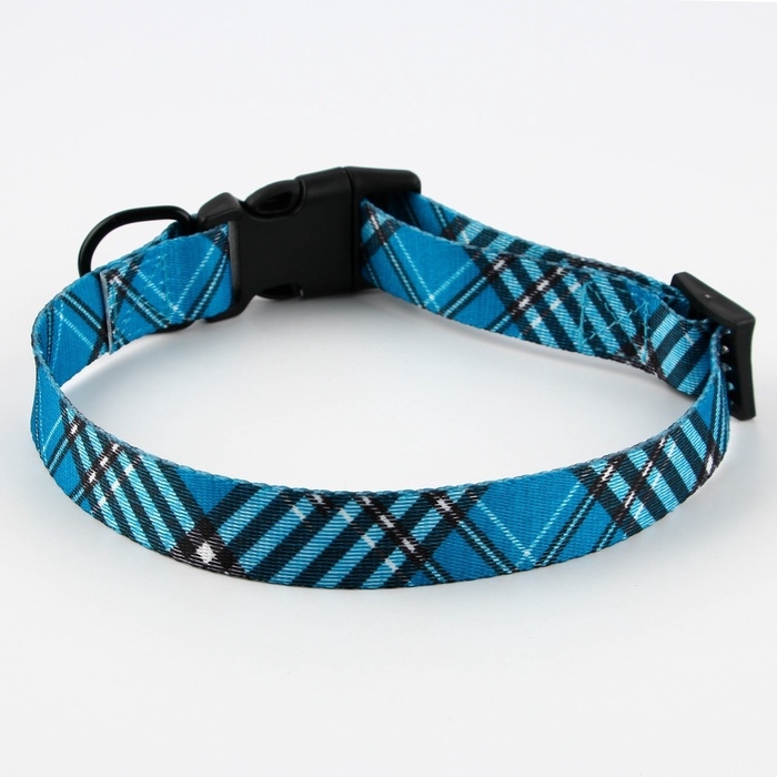 Ошейник «Джентльмен», застёжка - фастекс, 2.5 см, 40-55 см Ошейник «Джентльмен», застёжка - фастекс, 2.5 см, 40-55 см