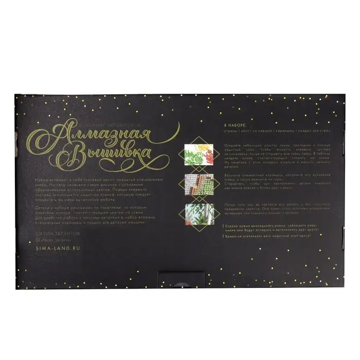 Алмазная мозаика с полным заполнением на холсте &laquo;Звёздная ночь&raquo;, 30&times;40 см