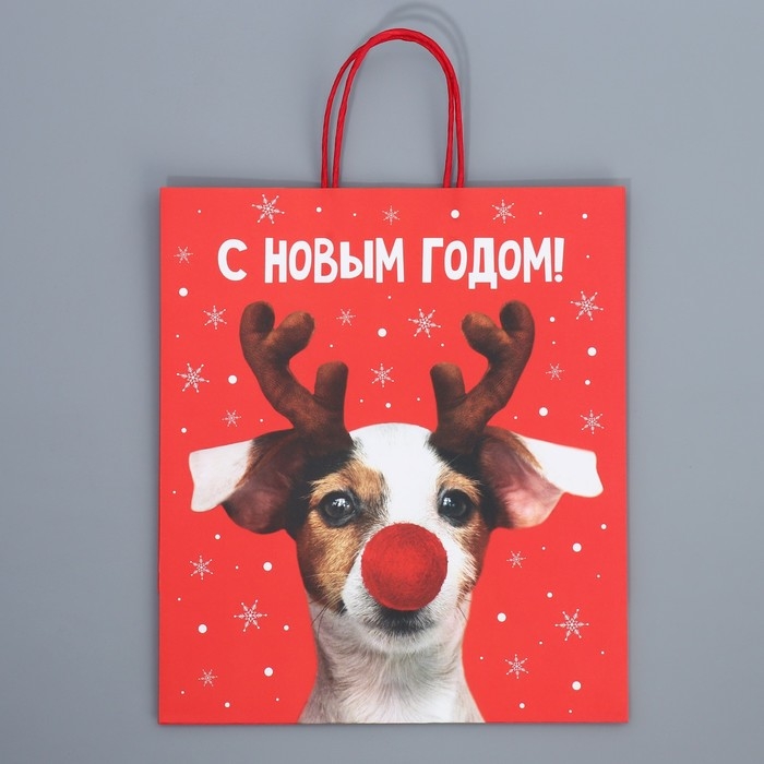 Пакет подарочный новогодний крафтовый «Олень ты», 28 х 32 х 15 см Пакет подарочный новогодний крафтовый «Олень ты», 28 х 32 х 15 см