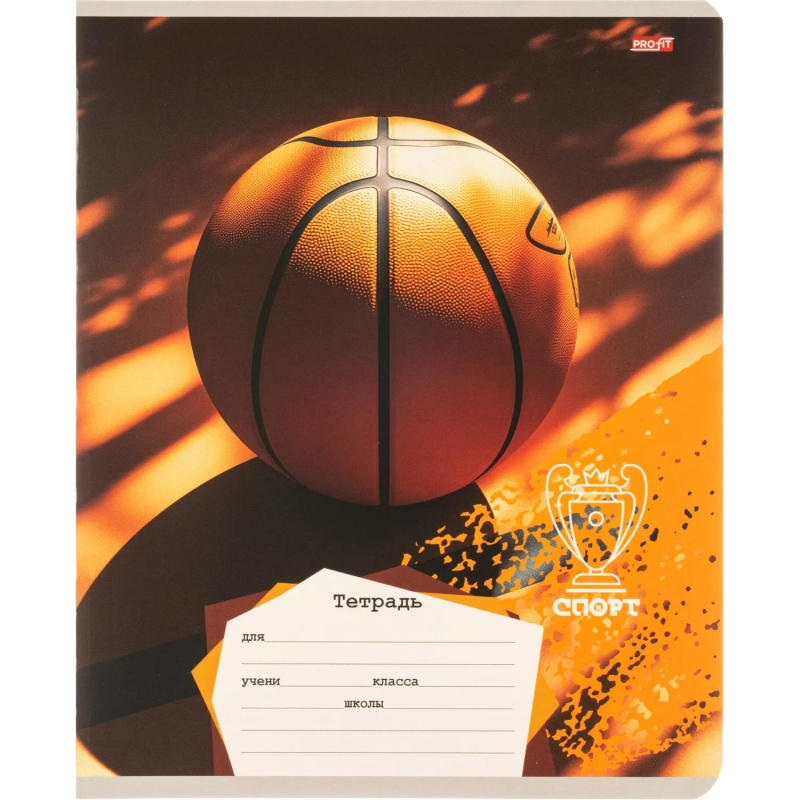 Тетрадь КЛЕТКА 18л. РАЗНЫЕ МЯЧИ-2 обл.-мел.карт,ассорти 18-4313