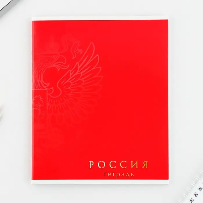 Тетрадь в клетку, 48 л., А5, на скрепке, блок №1 &laquo;Россия&raquo; МИКС
