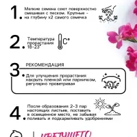 Семена цветов Маттиола двурогая "Вечерний аромат", смесь, 0,3 г Семена цветов Маттиола двурогая "Вечерний аромат", смесь, 0,3 г