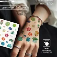 Переводные тату на тело цветные «Бабочки. Суккуленты», 24×14.5 см, МИКС