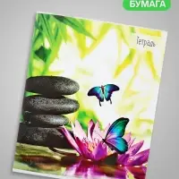Тетрадь 36 листов в клетку Calligrata &laquo;Бабочки&raquo;, серые листы, МИКС