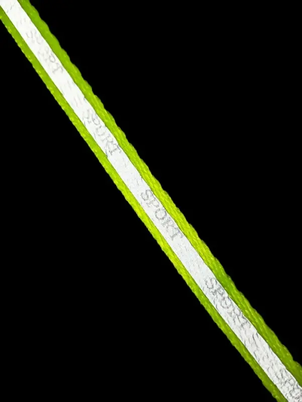 Ошейник Ошейник "Спорт" со светоотражающей полосой, 31 х 1 см, зелёный