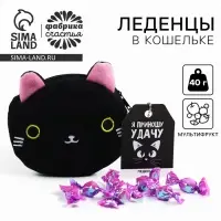 Леденцы &laquo;Приношу удачу&raquo; в кошельке, со вкусом винограда, 40 г