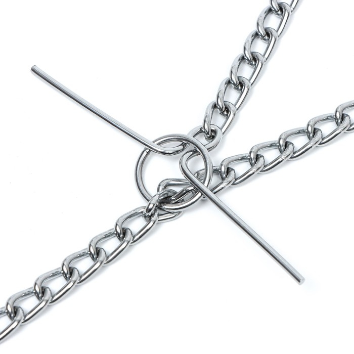 Цепь для привязи собак мелкокалиберная, 1,8 м, толщина проволки 2,5 мм Цепь для привязи собак мелкокалиберная, 1,8 м, толщина проволки 2,5 мм