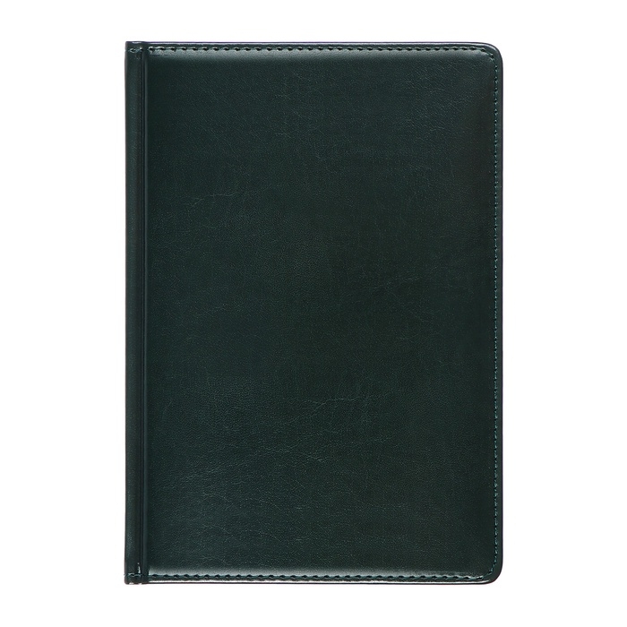 Телефонная книга А5, 64 листа deVENTE. Bravo, твердая обложка из искусственной кожи с поролоном, блок 70 г/м2, зелёный Телефонная книга А5, 64 листа deVENTE. Bravo, твердая обложка из искусственной кожи с поролоном, блок 70 г/м2, зелёный