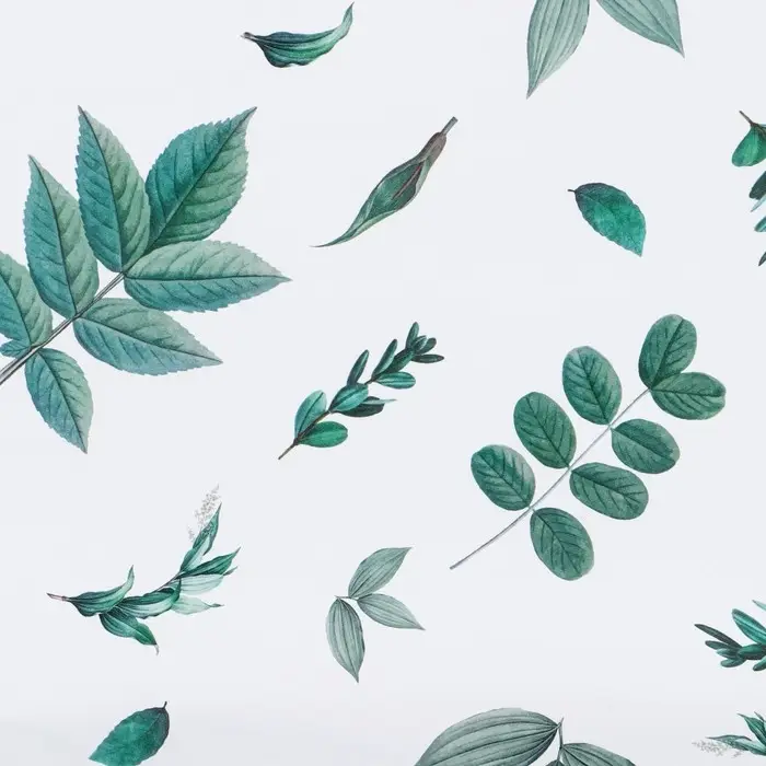 Бумага упаковочная глянцевая «Листочки», 70 х 100 см