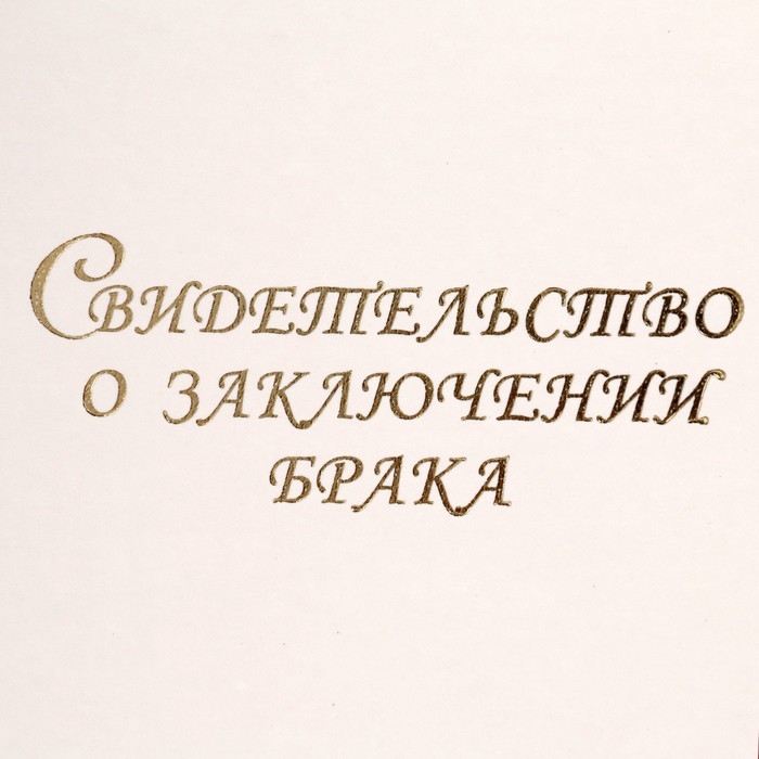 Папка для свидетельства о браке  Папка для свидетельства о браке "Белая" бумвинил, А4