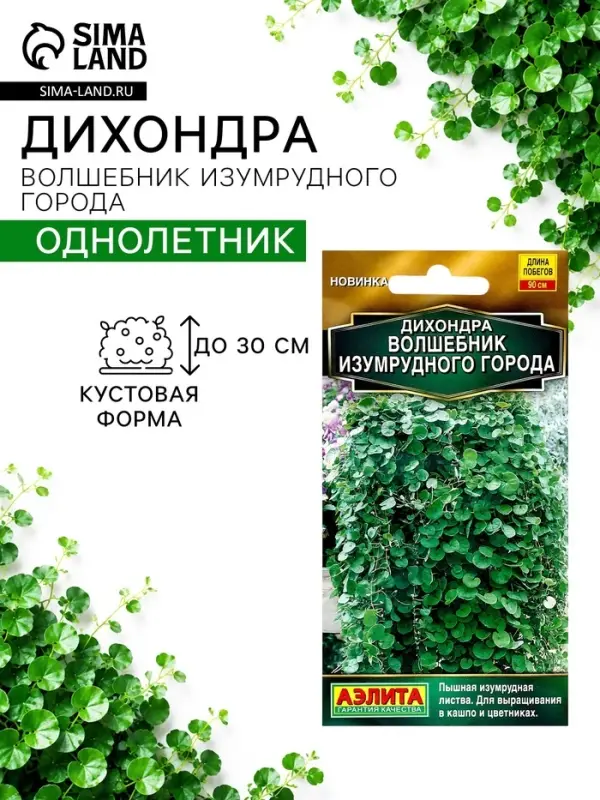 Семена цветов Дихондра "Волшебник Изумрудного города", ц/п, 3 шт