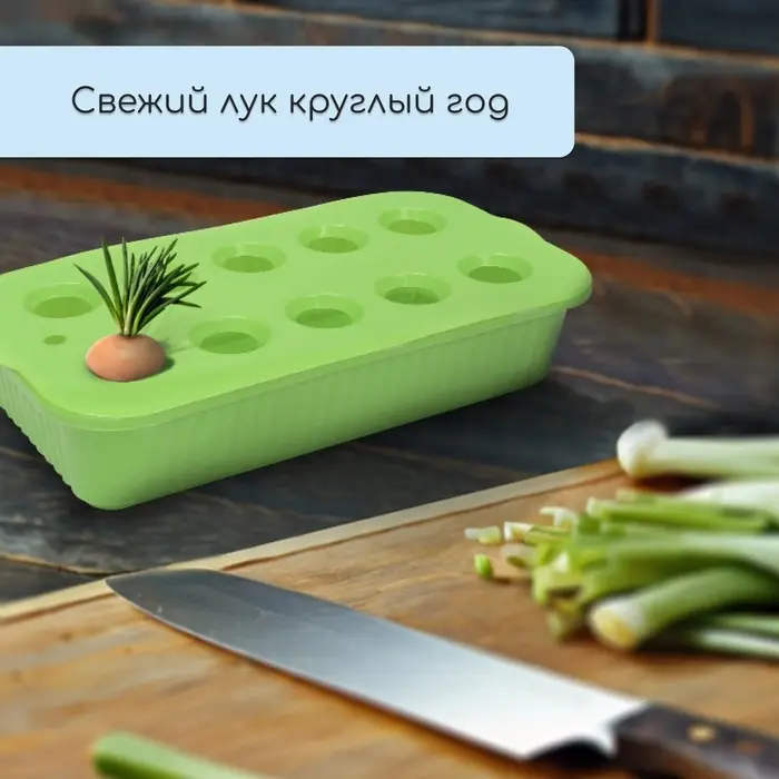 Ящик для выращивания зелёного лука, 29&times;16&times;8.5 см, 2.5 л, 10 лунок, пластик, зелёный, Greengo
