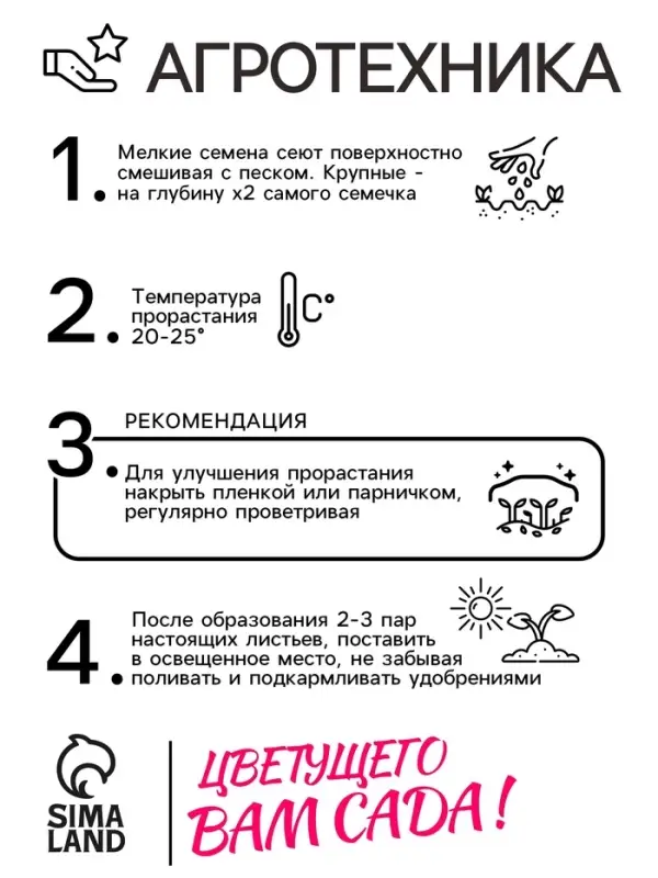 Семена цветов Пеларгония зональная &laquo;Стелла&raquo;, F1, 4 шт.