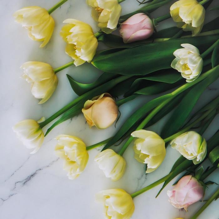 Фотофон двусторонний бумага 300 гр Фотофон двусторонний бумага 300 гр "Тюльпаны и розы" 57х87 см