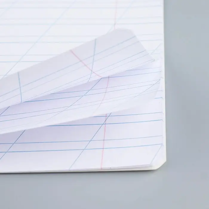 Тетрадь 12 листов в косую линейку, А5, на скрепке, блок №1 &laquo;Пушистые питомцы&raquo; МИКС