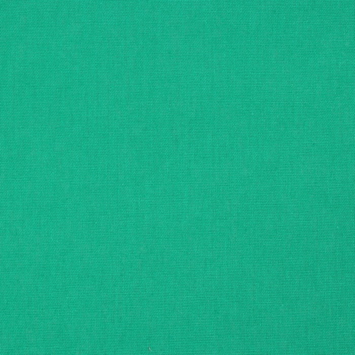 Простыня "Этель" 150х214 см, цв. зелёный, 100% хлопок, бязь