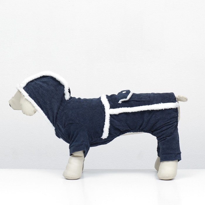 Комбинезон Комбинезон "Малыш", размер XS (ДС 20 см, ОГ 30 см, ОШ 20 см), синий