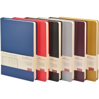 Ежедневник недатированный золото, MEGAPOLIS А5, 142х214мм,320стр.3-281/08