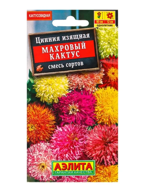 Семена цветов Цинния Махровый кактус, смесь сортов , Ц/П,0,3 г Семена цветов Цинния Махровый кактус, смесь сортов , Ц/П,0,3 г