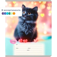 Тетрадь КЛЕТКА 12л. МИЛЫЕ КОТЯТА - 7  цвет. мелов.обл., асоорти 12-0912