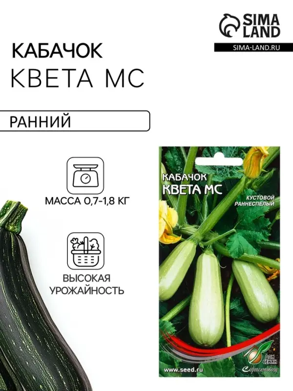 Семена Кабачок Квета Мс 11 шт