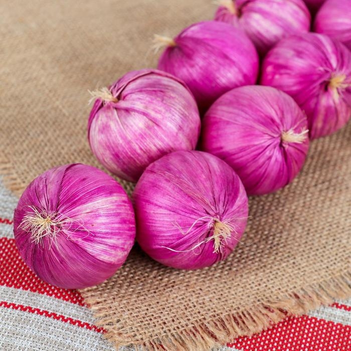 Муляж Муляж "Связка лука" 12 луковиц, микс