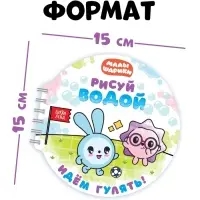 Многоразовая раскраска "Рисуй водой. Идём гулять!", 10 стр., Малышарики