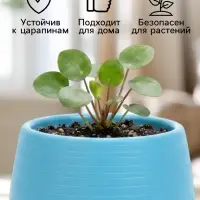 Горшок цветочный &laquo;Япония&raquo;, 125 мл, d=8 см, h=6.5 см, пластиковый, с поддоном, бирюзовый