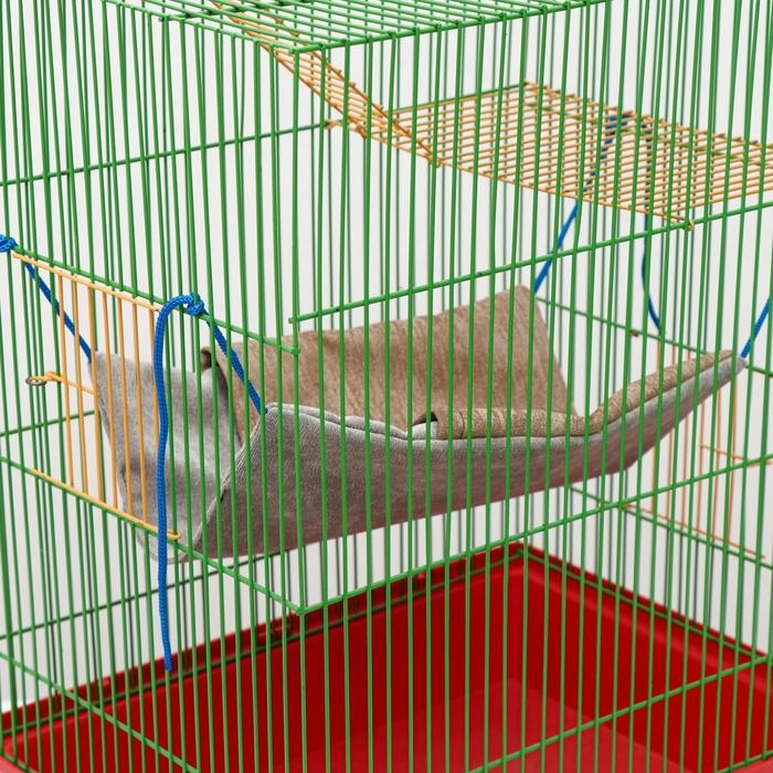 Гамак для грызунов с карманом, мебельная ткань, 25 х 30 см, микс цветов Гамак для грызунов с карманом, мебельная ткань, 25 х 30 см, микс цветов