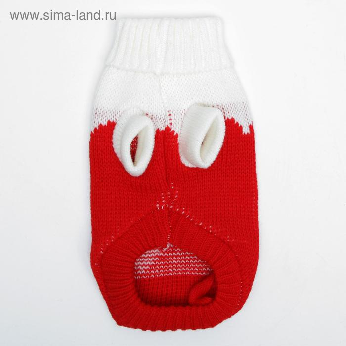 Свитер, размер 8 (26-30 см), микс расцветок Свитер, размер 8 (26-30 см), микс расцветок