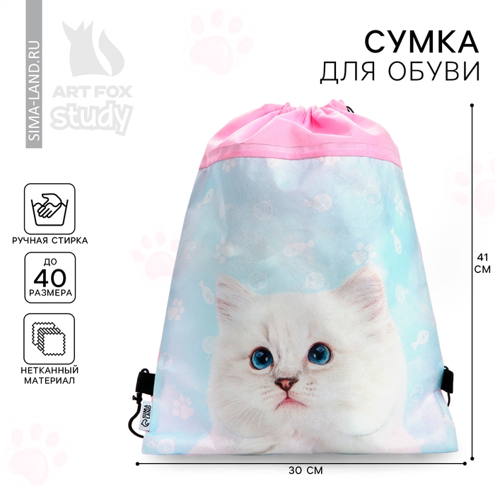 Мешок для обуви «Мысли кота» нетканное полотно, размер 30 х 40 см МИКС Мешок для обуви «Мысли кота» нетканное полотно, размер 30 х 40 см МИКС