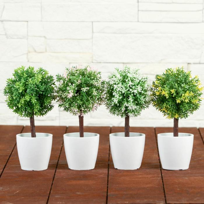 Бонсай в горшке "Цветные листочки" 18 см, микс