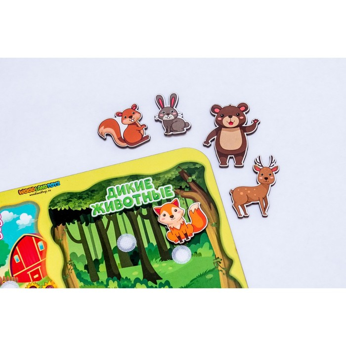 Сортер «Какая разница? Домашние и дикие животные», на липучках, детали: 4 см Сортер «Какая разница? Домашние и дикие животные», на липучках, детали: 4 см