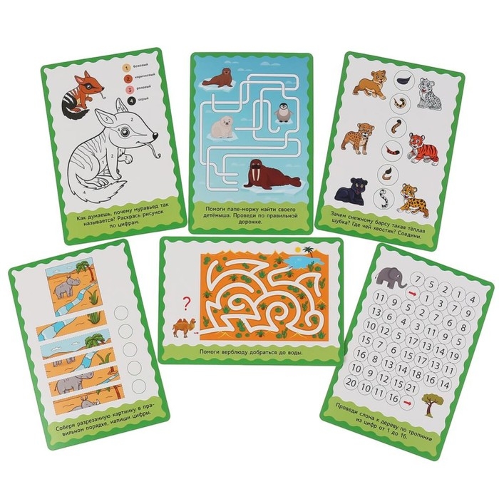 Развивающие карточки «Животные красной книги», 32 карточки Развивающие карточки «Животные красной книги», 32 карточки