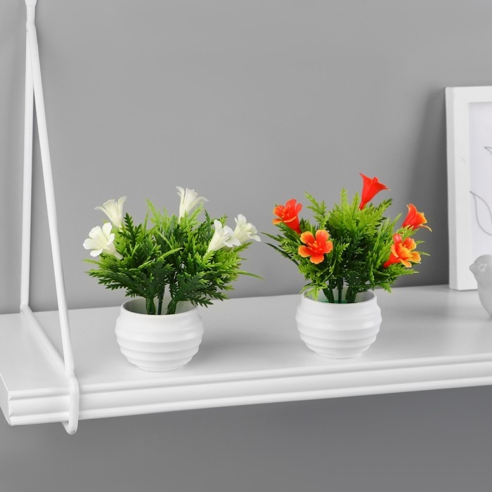 Бонсай в горшке Бонсай в горшке "Годеция монарх" 5,5х10 см, микс