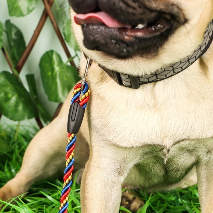 Поводок круглый Поводок круглый "Скрутка", 1 х 120 см, сине-красно-жёлтый