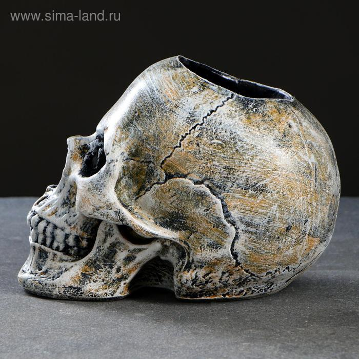 Подставка под ёрш  Подставка под ёрш "Череп" 16х15х22см (ершик н/сталь)