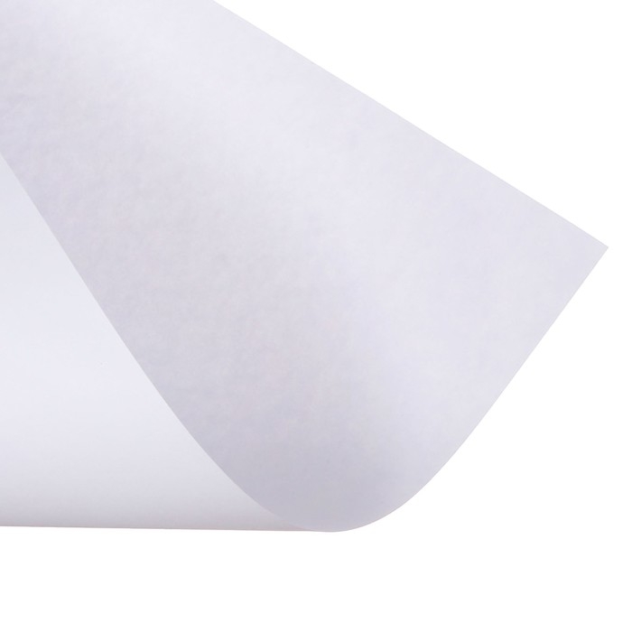 Набор 5л ватман чертежный А0 (840х1189) 160г/м2 ВА0 Набор 5л ватман чертежный А0 (840х1189) 160г/м2 ВА0