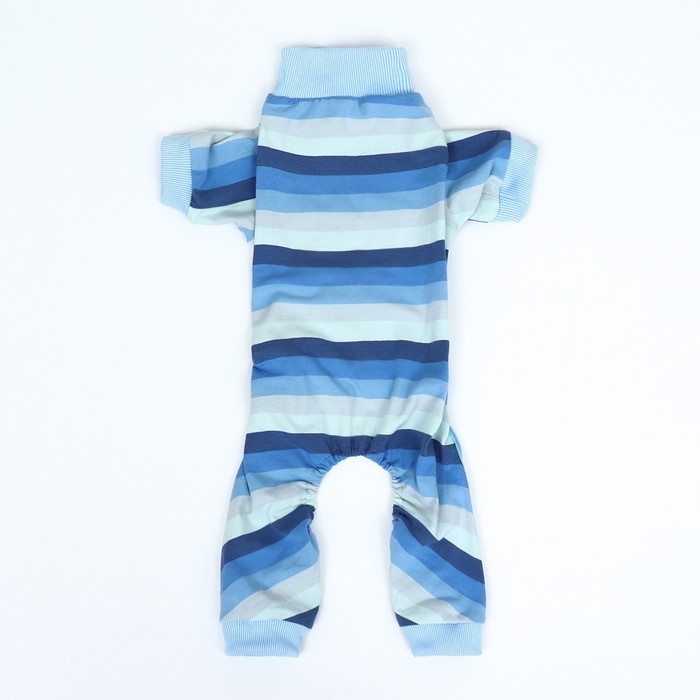 Попона послеоперационная, вискоза, размер ХL  (ОШ 31, ОГ 50, ОТ 39 см, вес 12-18 кг), голуба   96146 Попона послеоперационная, вискоза, размер ХL  (ОШ 31, ОГ 50, ОТ 39 см, вес 12-18 кг), голуба   96146