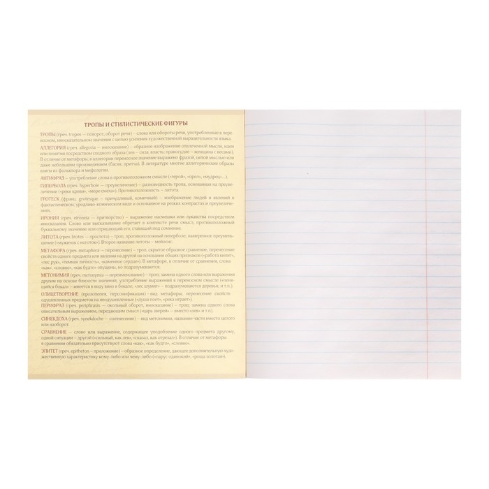 Тетрадь предметная Calligrata "Мрамор светлый", 48 листов в линию Литература, со справочным материалом, обложка мелованный картон, УФ-лак, блок офсет