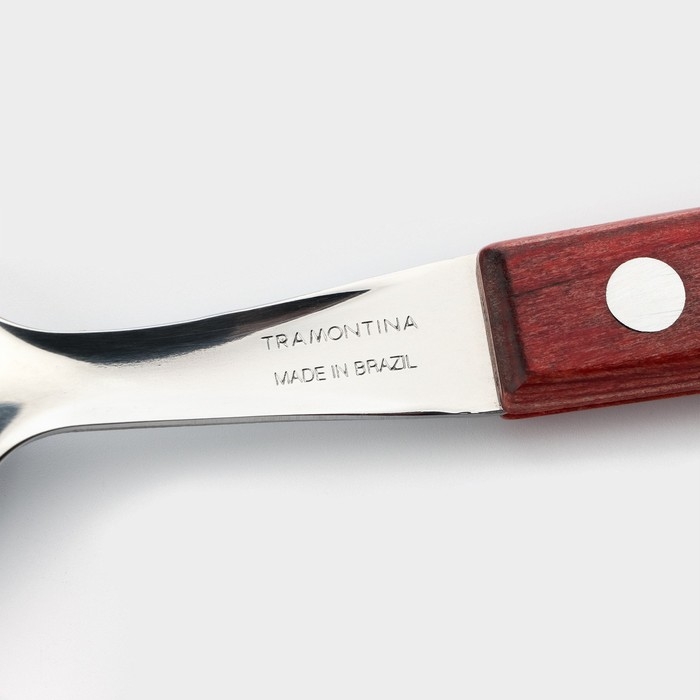 Ложка столовая Tramontina Polywood, цвет каштановый Ложка столовая Tramontina Polywood, цвет каштановый