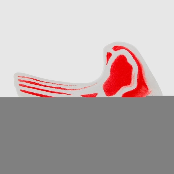 Игрушка пищащая Игрушка пищащая "Мясо на косточке" для собак, 13 см, микс цветов