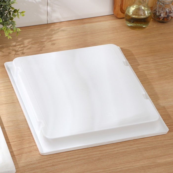 Поднос для заморозки 36×31×3,5 см, цвет белый