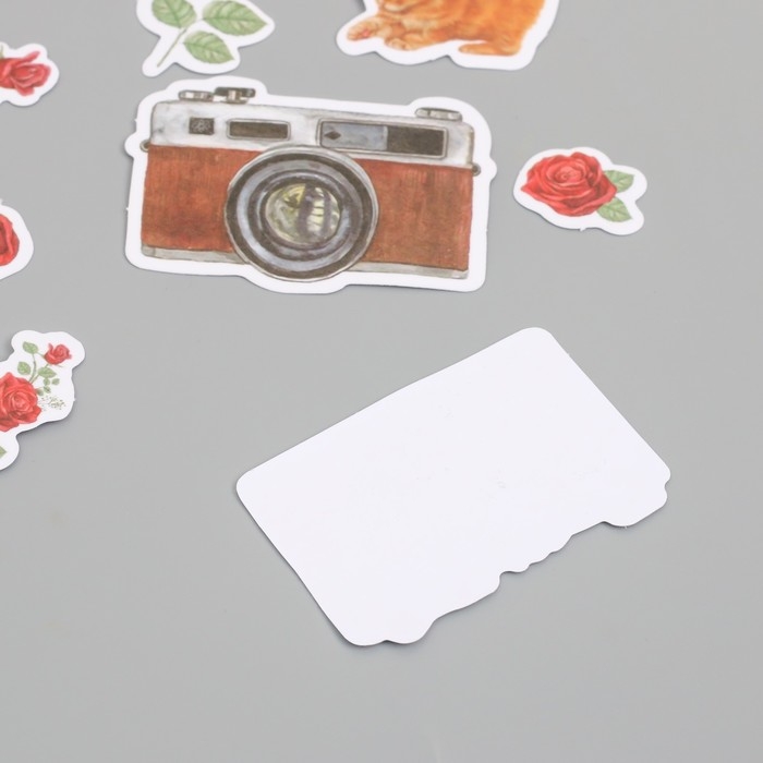 Наклейки для творчества Наклейки для творчества "Коты, красные розы и фото" 3,5х5 см набор 40 шт 9,4х8,4х0,5 см